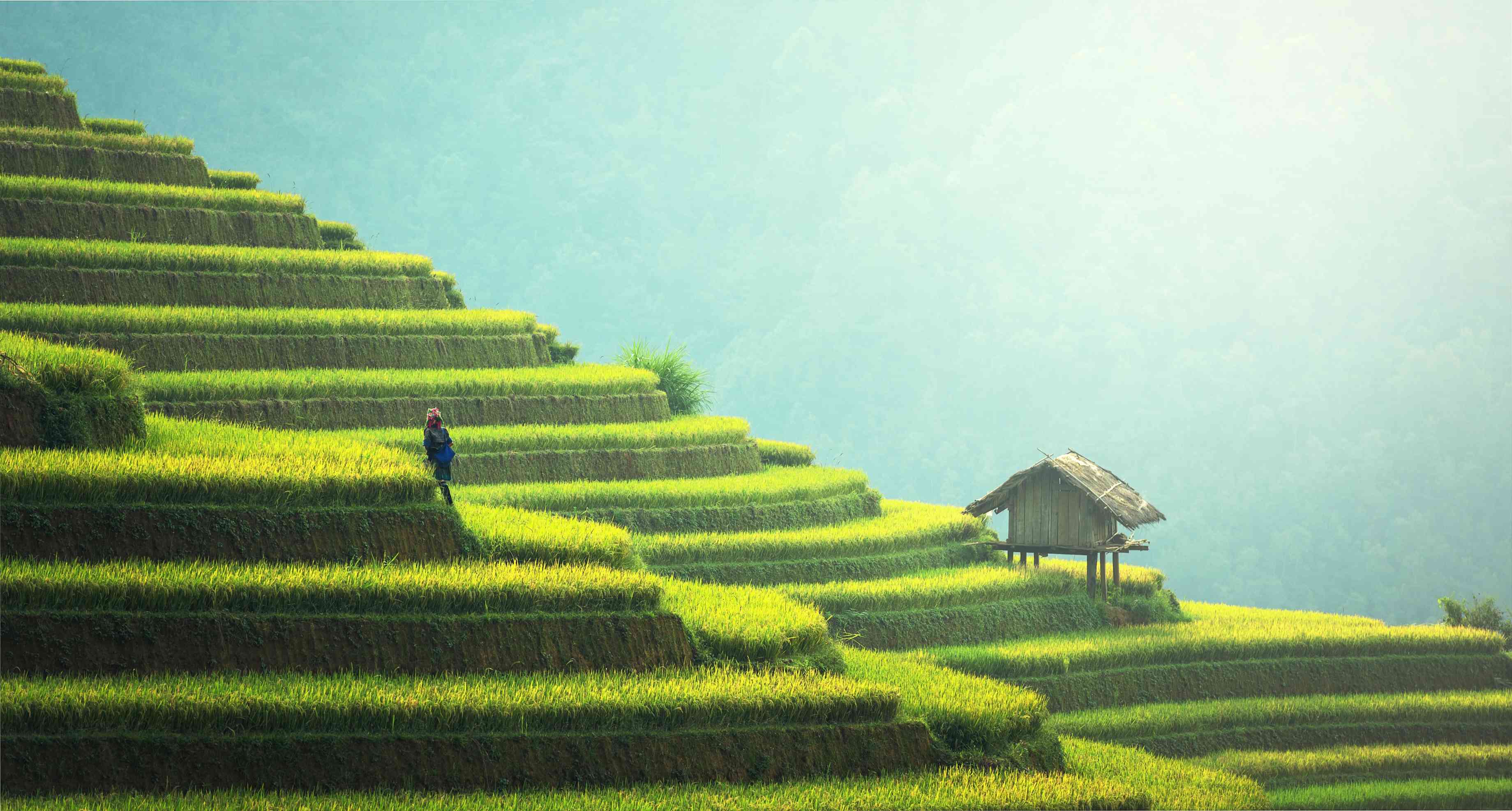 太阳成集团tyc33455(中国区)官方网站-Ultra Platform