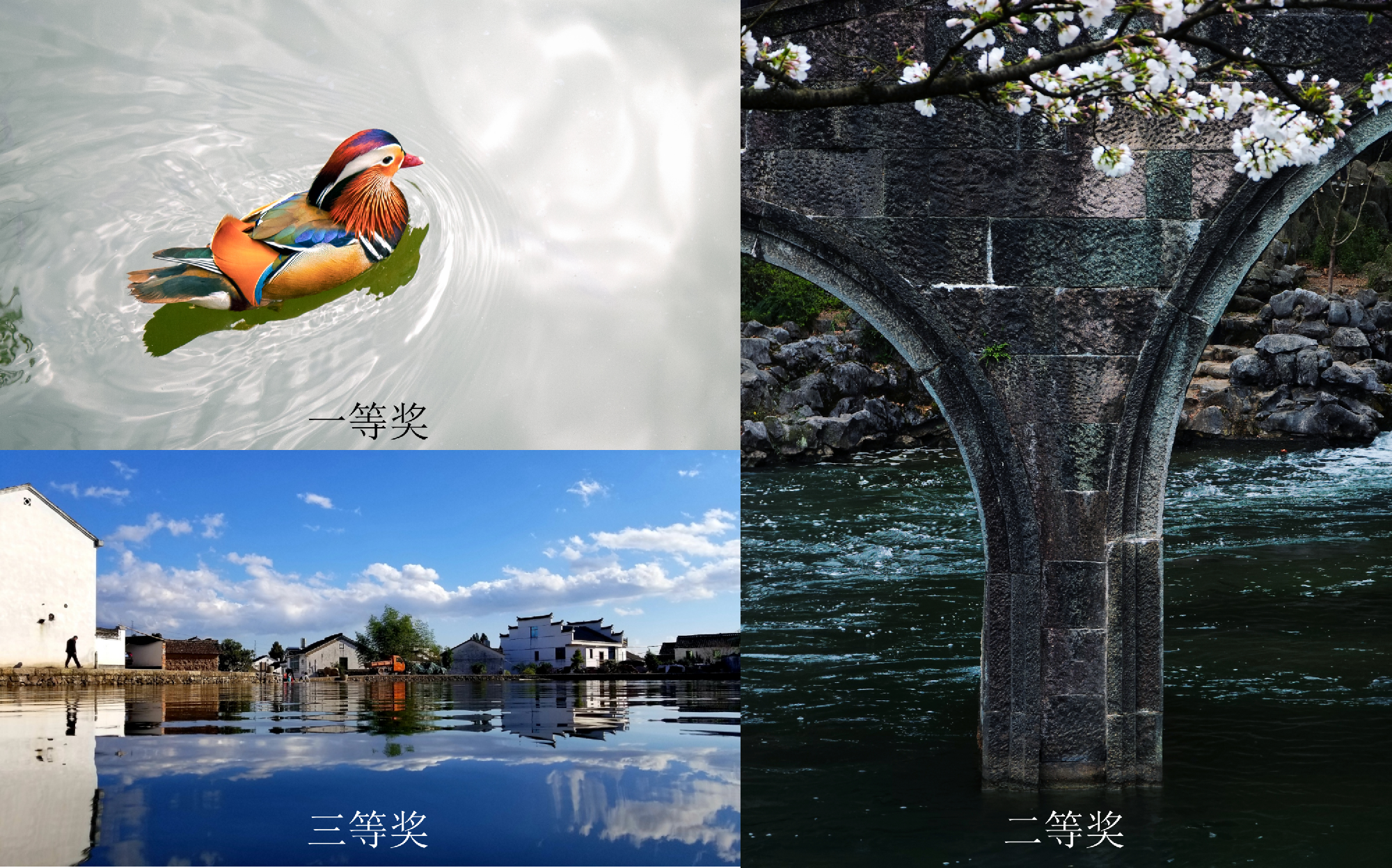 太阳成集团tyc33455(中国区)官方网站-Ultra Platform